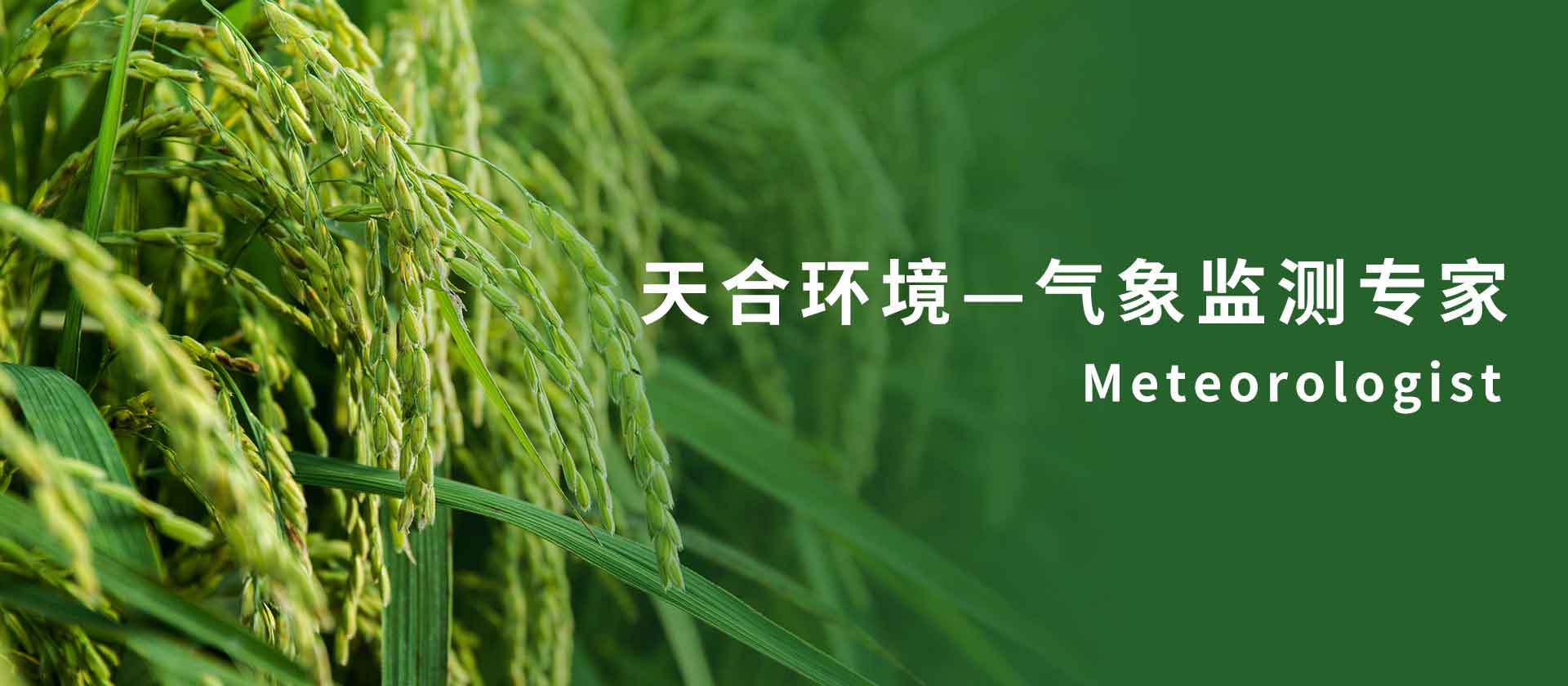 气象传感器厂家